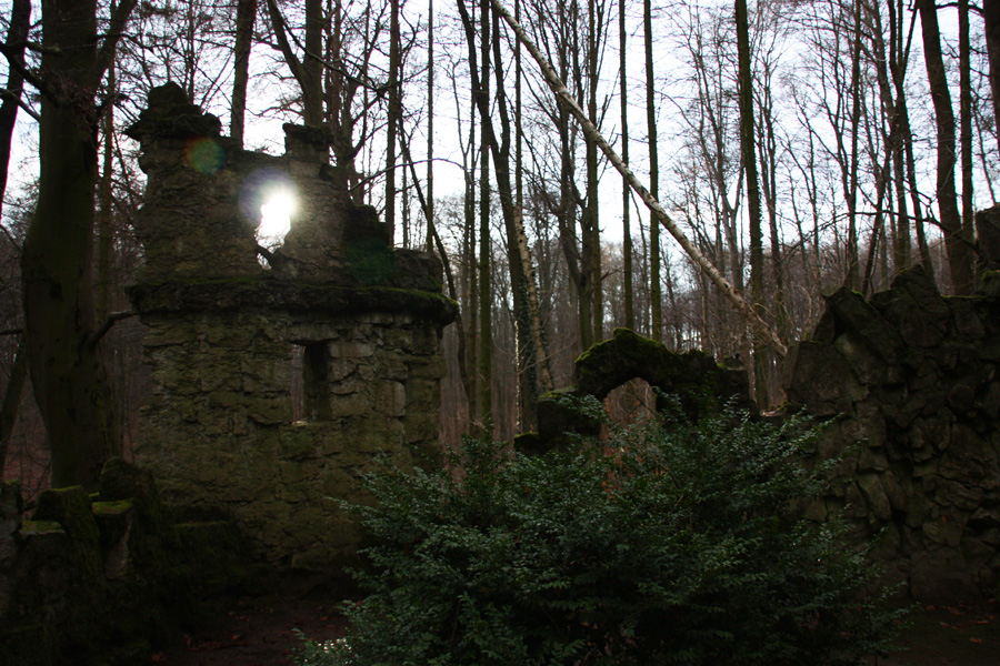 IMG_6546_a.jpg - Ruins, Gehrden, Germany