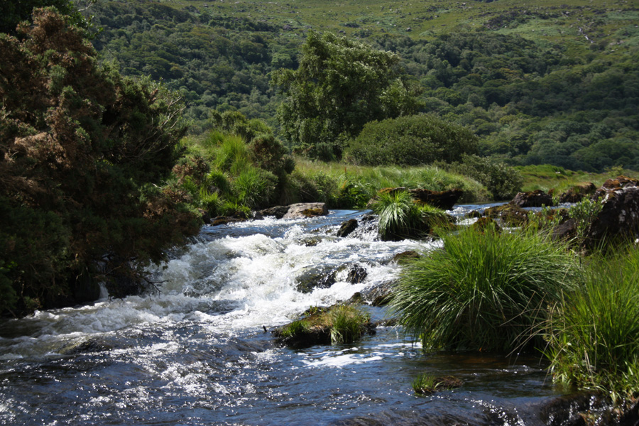 IMG_8281_b.jpg - A creek on Beara Peninsula, Ireland