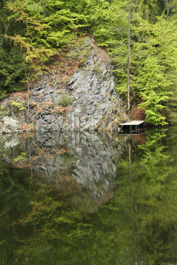IMG_0935_a.jpg - Reflection in a Lake near Hofaschenbach, Germany